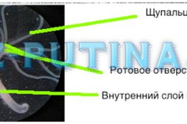 Правильная ссылка онион кракен