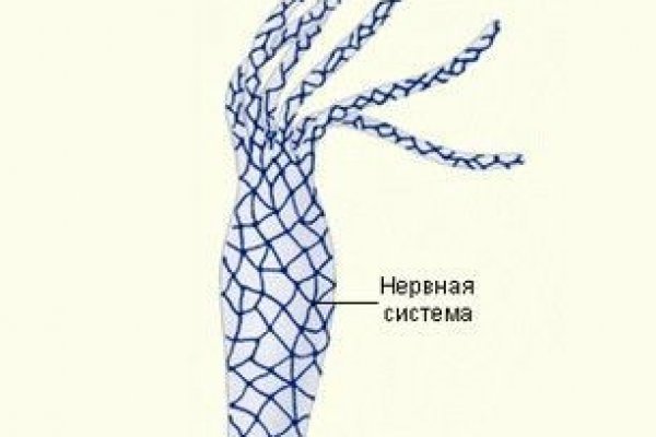 Кракен ссылка что это