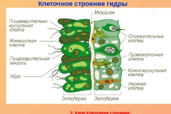 Kraken сайт зеркала krakens15 at