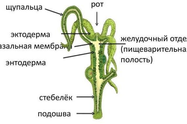 Сайт тор кракен