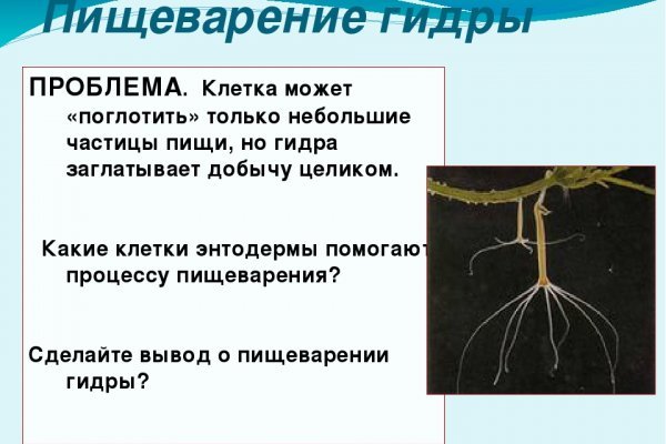 Как зайти на кракен без тора