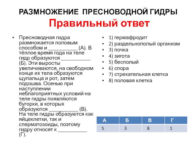 Кракен это сайт что продают